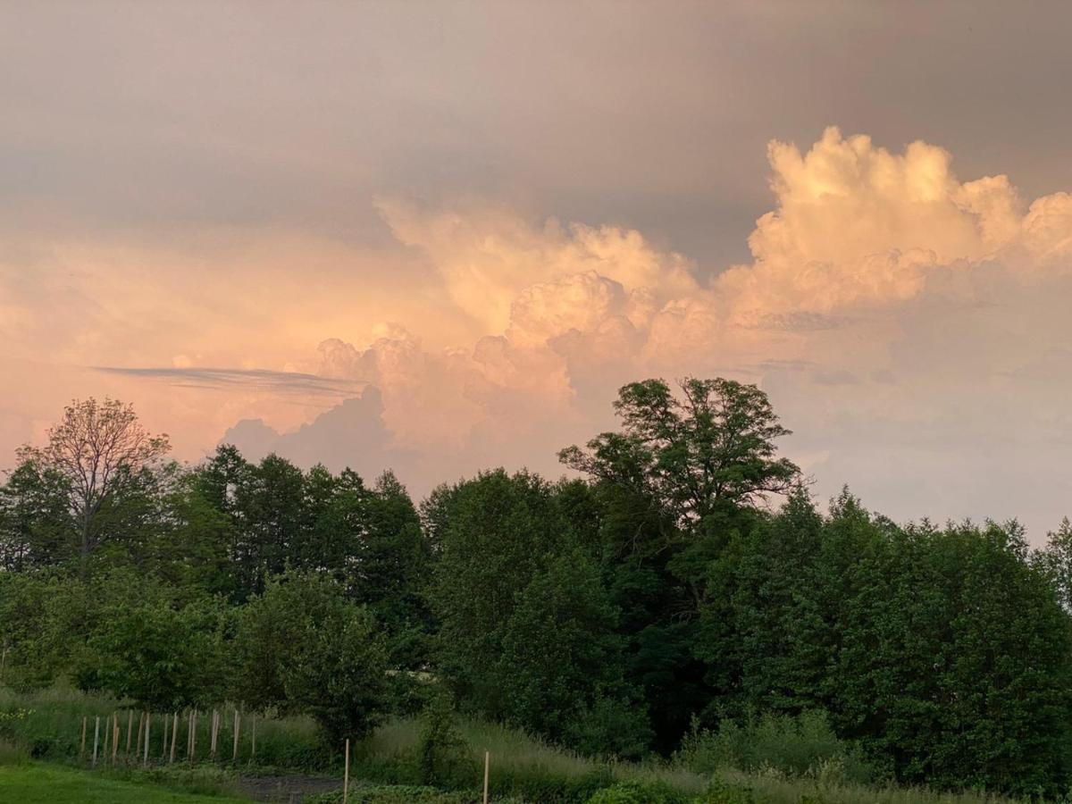 Vila Pod Bocianim Gniazdem Stary Folwark Exteriér fotografie