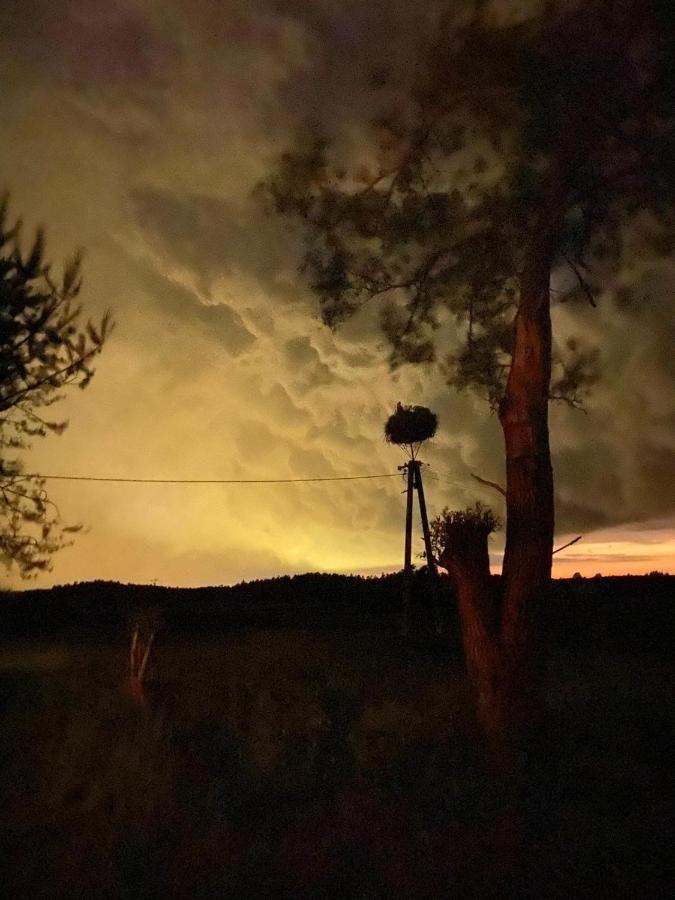 Vila Pod Bocianim Gniazdem Stary Folwark Exteriér fotografie